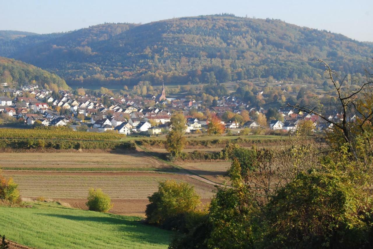 Apartmán Hildastrasse 1 Appart.2 Friesenheim  Exteriér fotografie