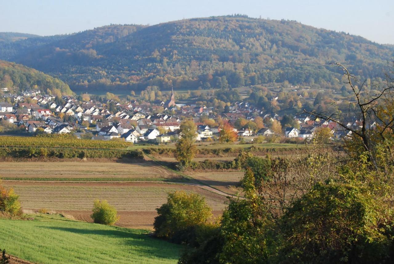 Hildastrasse 1 Appart.2 Friesenheim  Exteriér fotografie