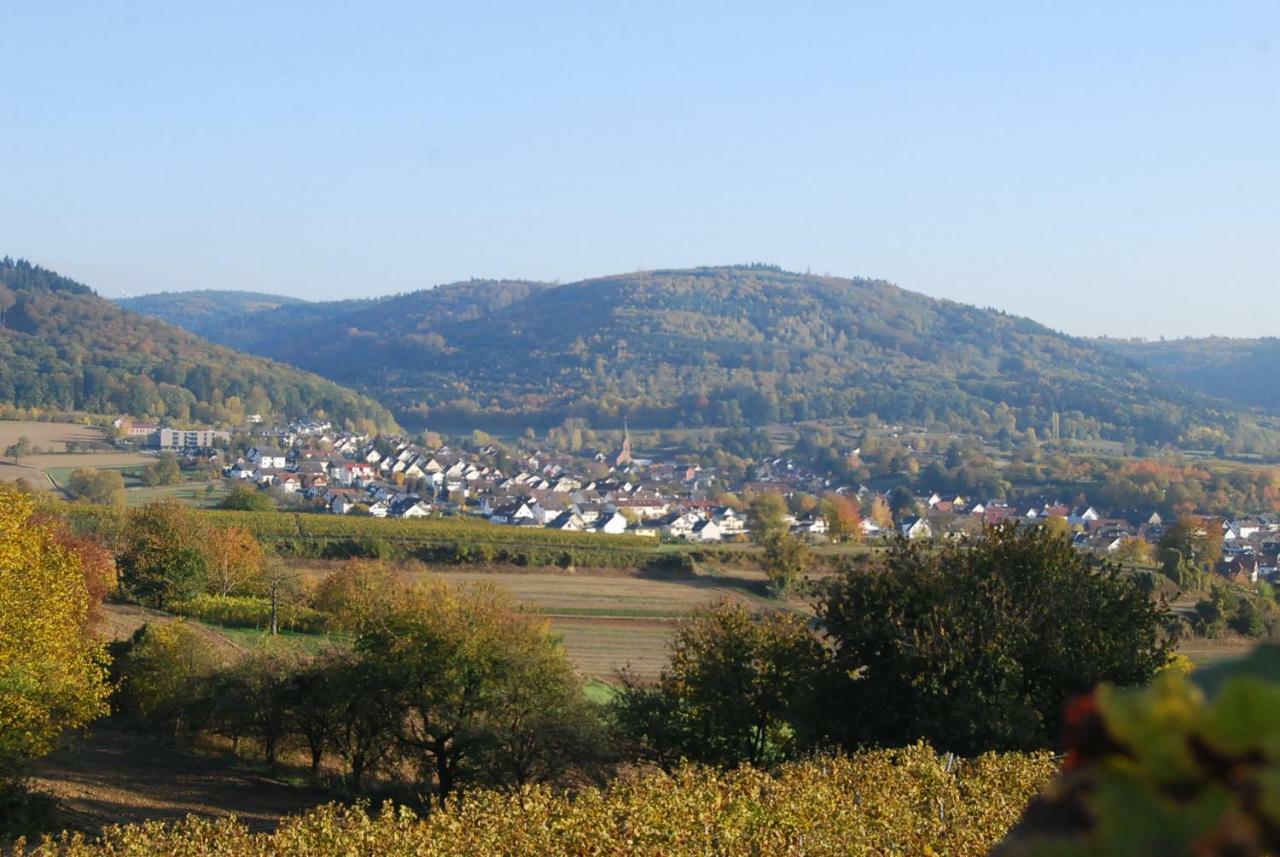 Hildastrasse 1 Appart.2 Friesenheim  Exteriér fotografie